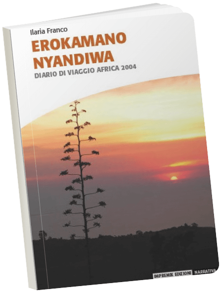 Visual storytelling book cover